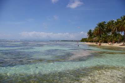 Bungalow - Gite TiCoco - Bois Jolan