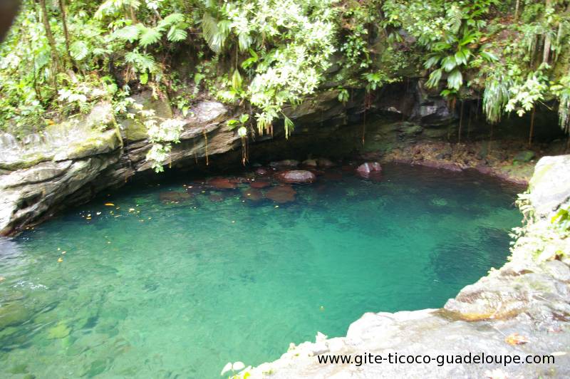 Bassin Paradis Bassin Paradis
