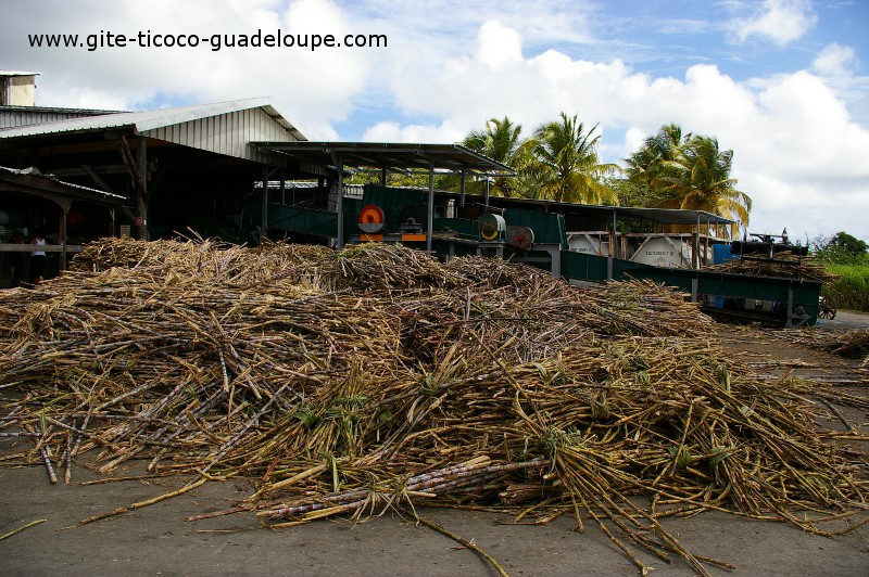La Distillerie Damoiseau La Distillerie Damoiseau