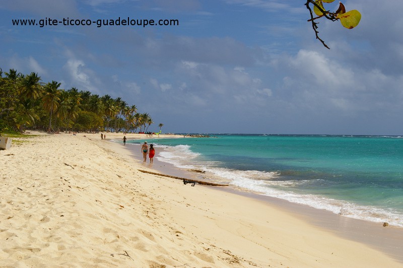 Ile Marie Galante Ile Marie Galante